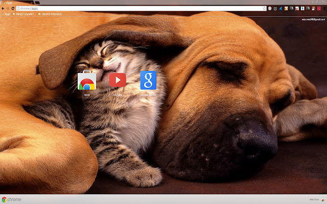 Dog and Kitten  from Chrome web store to be run with OffiDocs Chromium online
