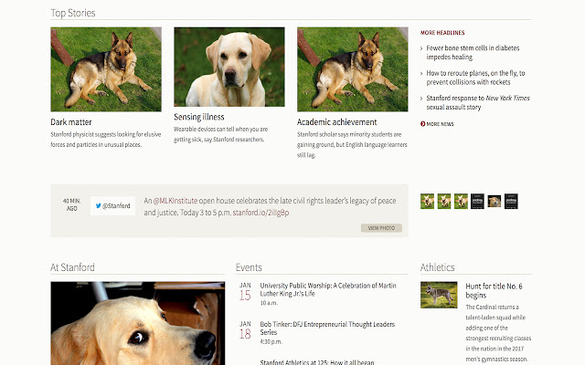 Doggone It!  from Chrome web store to be run with OffiDocs Chromium online