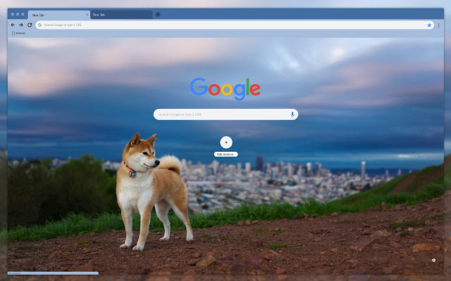 Dog on city background  from Chrome web store to be run with OffiDocs Chromium online