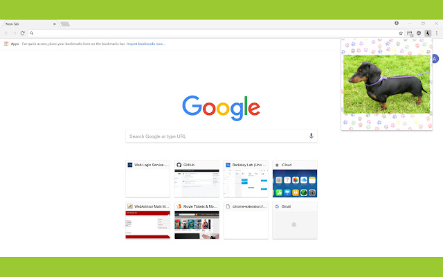 Dog on Demand  from Chrome web store to be run with OffiDocs Chromium online