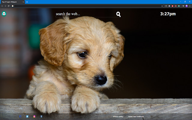 Dogs  Puppies Wallpapers  from Chrome web store to be run with OffiDocs Chromium online