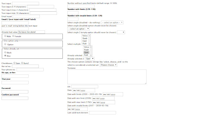 Dummy Form Filler  from Chrome web store to be run with OffiDocs Chromium online