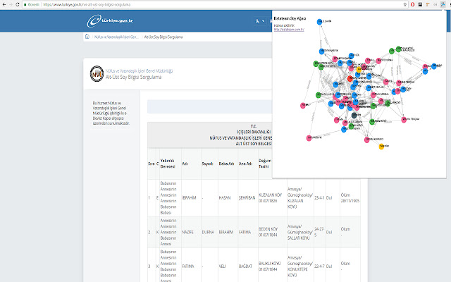 e devlet Soyağacı Çizge Görselleştirmesi  from Chrome web store to be run with OffiDocs Chromium online