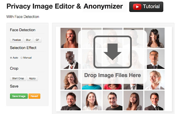 Facepixelizer  from Chrome web store to be run with OffiDocs Chromium online