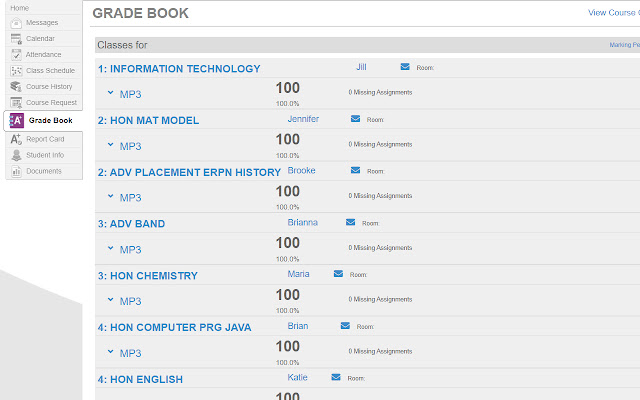 Fake StudentVue Grades  from Chrome web store to be run with OffiDocs Chromium online