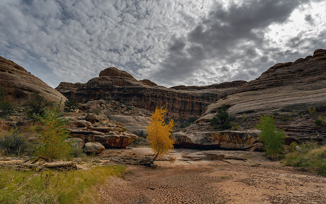 Fall colors in Grand Gulch, UT  from Chrome web store to be run with OffiDocs Chromium online