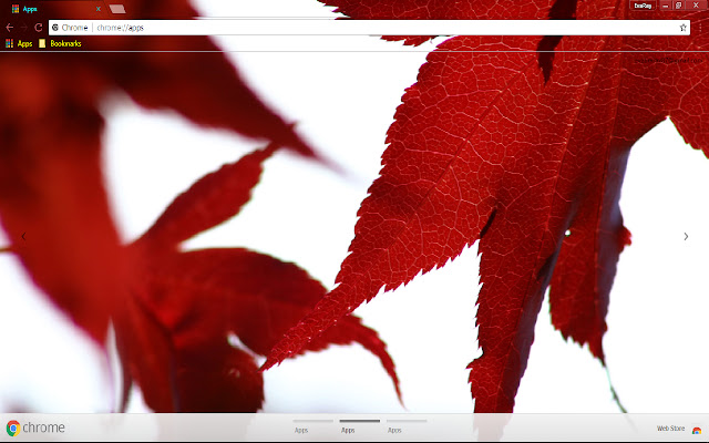 Fall Leaf  from Chrome web store to be run with OffiDocs Chromium online