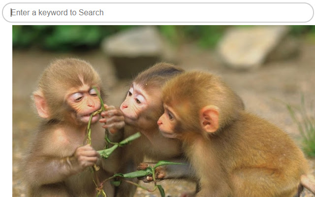 FavTabs Best Monkeys  from Chrome web store to be run with OffiDocs Chromium online