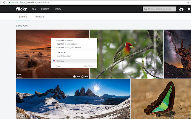 Flickr quick user info  from Chrome web store to be run with OffiDocs Chromium online