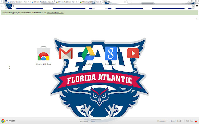 Florida Atlantic University Owl Theme  from Chrome web store to be run with OffiDocs Chromium online