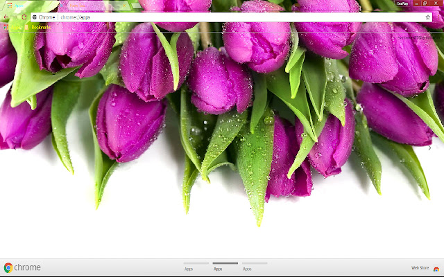 Flower Green Pastel Purple Tulip  from Chrome web store to be run with OffiDocs Chromium online