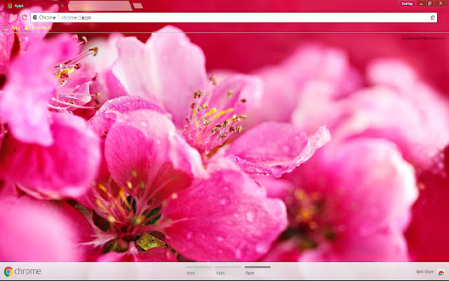 Flower Nature Pastel Pink  from Chrome web store to be run with OffiDocs Chromium online