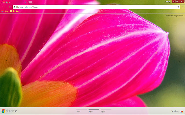 Flower Pastel Pink Spring  from Chrome web store to be run with OffiDocs Chromium online