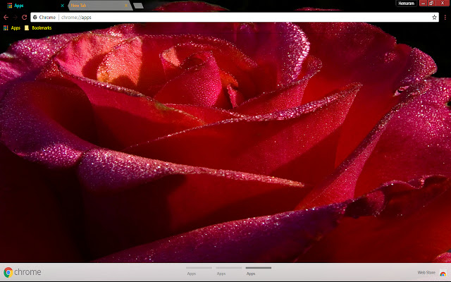 Flower Red Rose  from Chrome web store to be run with OffiDocs Chromium online