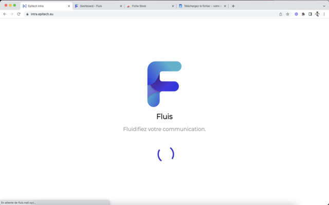 Fluis extension  from Chrome web store to be run with OffiDocs Chromium online