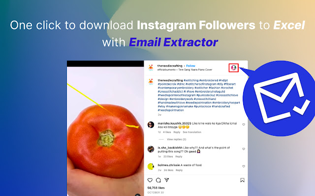 FollowFox IG Follower Export Tool (Email)  from Chrome web store to be run with OffiDocs Chromium online