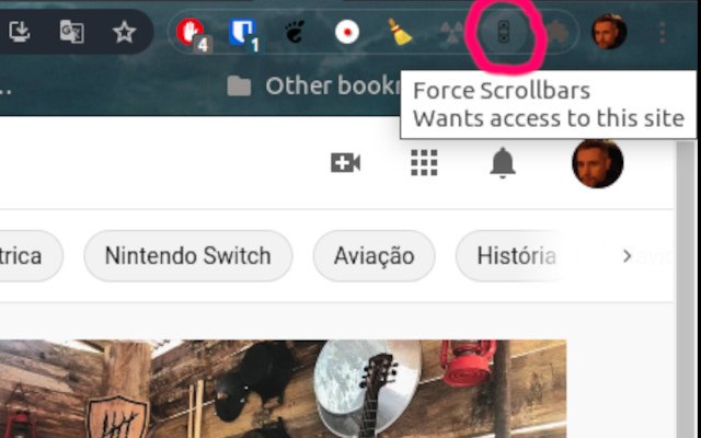 Force Scrollbars  from Chrome web store to be run with OffiDocs Chromium online