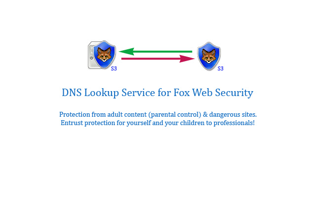 Fox Web Security (DNS Lookup Service)  from Chrome web store to be run with OffiDocs Chromium online