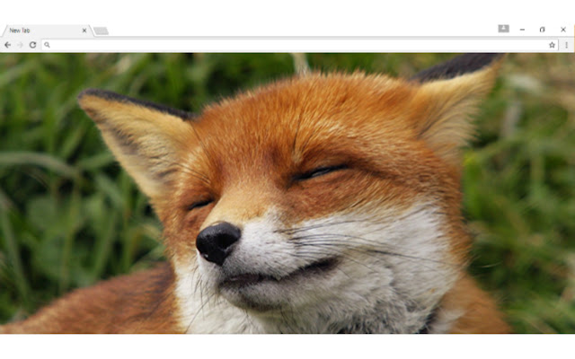 Foxy New Tab  from Chrome web store to be run with OffiDocs Chromium online