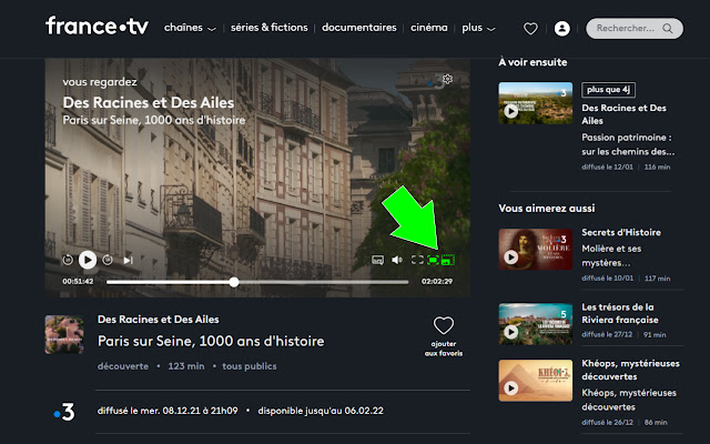 FranceTV Boutons additionnels pour le player  from Chrome web store to be run with OffiDocs Chromium online