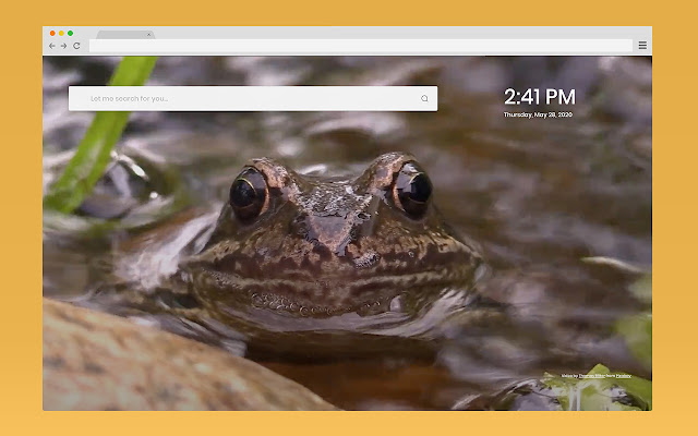 Frog Start Because cats are lame  from Chrome web store to be run with OffiDocs Chromium online