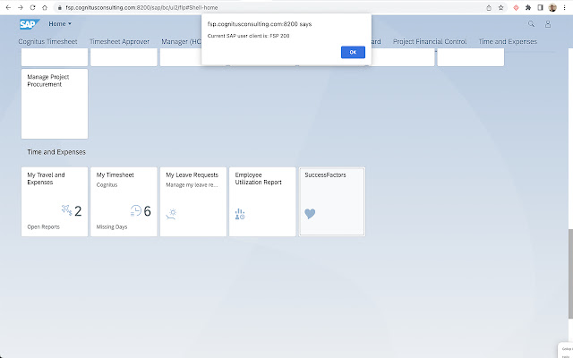 Get SAP Fiori Client  from Chrome web store to be run with OffiDocs Chromium online