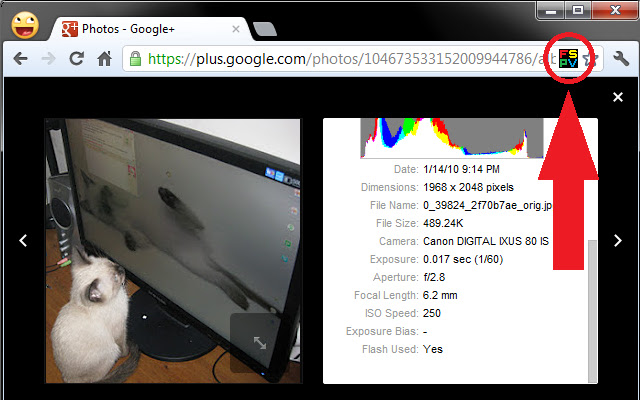 G+ Full Size Photo Viewer  from Chrome web store to be run with OffiDocs Chromium online