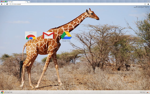 Giraffe Theme  from Chrome web store to be run with OffiDocs Chromium online