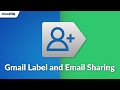 Gmail Label and Email Sharing  from Chrome web store to be run with OffiDocs Chromium online