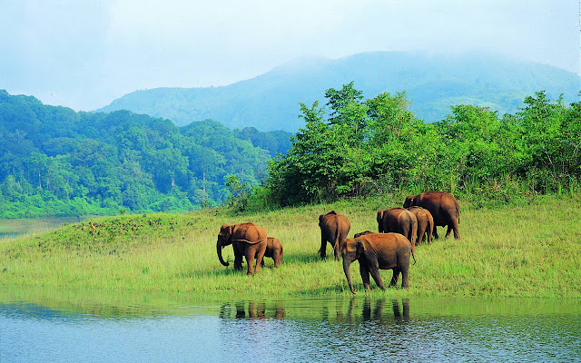 Gods Own Kerala  from Chrome web store to be run with OffiDocs Chromium online