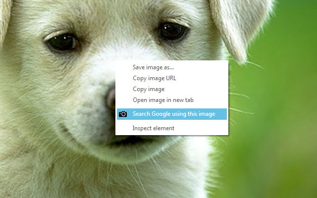 Google Image Search  from Chrome web store to be run with OffiDocs Chromium online