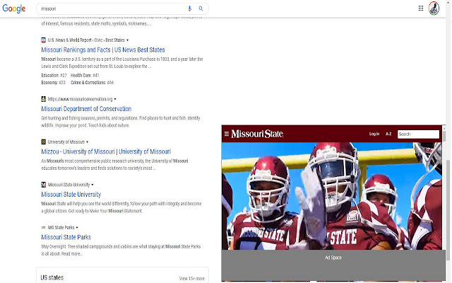 Google Search Previewer  from Chrome web store to be run with OffiDocs Chromium online