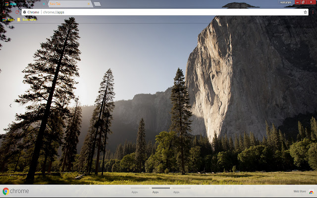 Graceful Nature  from Chrome web store to be run with OffiDocs Chromium online