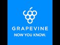 Grapevine.ai for Chrome  from Chrome web store to be run with OffiDocs Chromium online