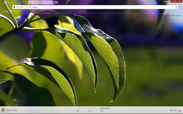 Green Leaf Nature Photography מחנות האינטרנט של Chrome להפעלה עם OffiDocs Chromium באינטרנט