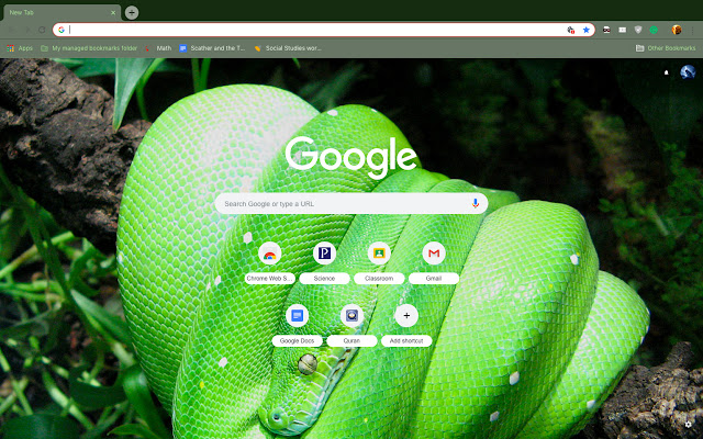 Green Tree Python  from Chrome web store to be run with OffiDocs Chromium online