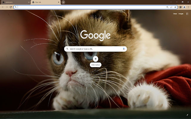 Grumpy Cat Browser Theme  from Chrome web store to be run with OffiDocs Chromium online