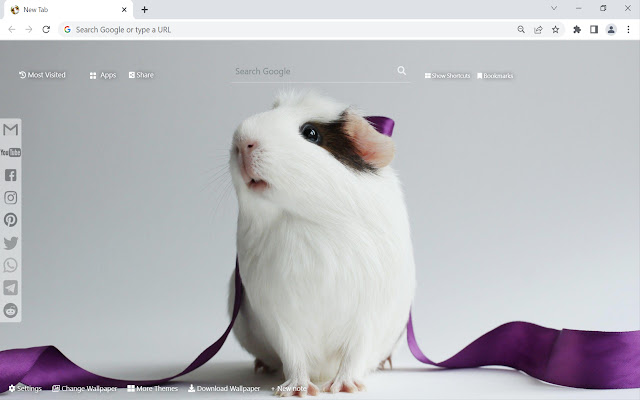 Guinea Pig Wallpaper  from Chrome web store to be run with OffiDocs Chromium online