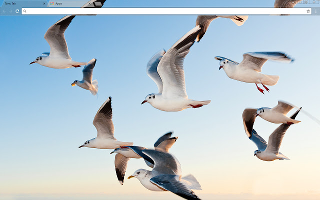 Gulls  from Chrome web store to be run with OffiDocs Chromium online