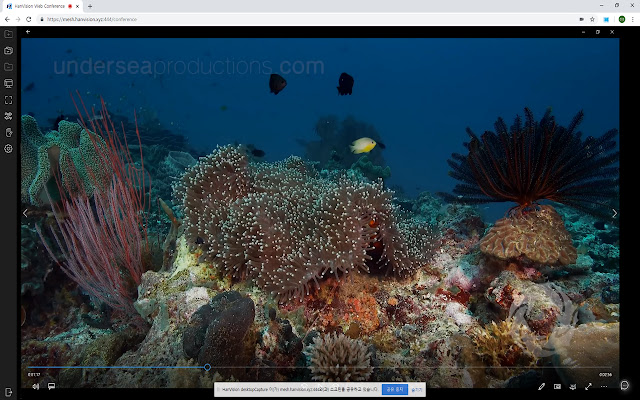 HanVision desktopCapture  from Chrome web store to be run with OffiDocs Chromium online