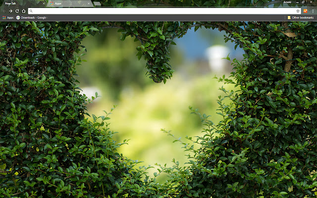 Heartscaping  from Chrome web store to be run with OffiDocs Chromium online