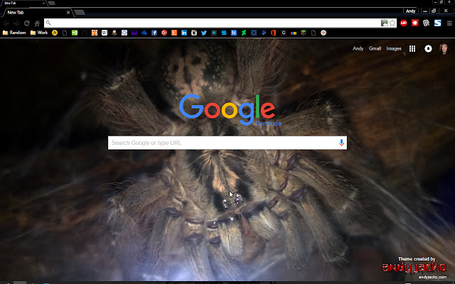 Heteroscodra maculata Juvenile Tarantula  from Chrome web store to be run with OffiDocs Chromium online