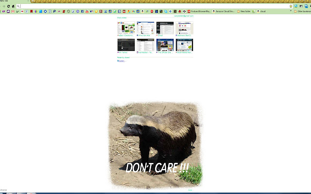 Honey Badger Dont Care  from Chrome web store to be run with OffiDocs Chromium online