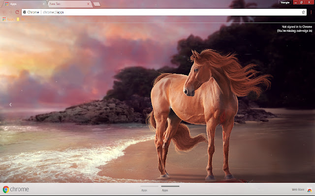 Horse Sea shore 1366*768  from Chrome web store to be run with OffiDocs Chromium online