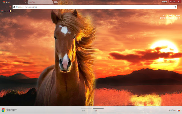 Horse sunset 1366*768  from Chrome web store to be run with OffiDocs Chromium online