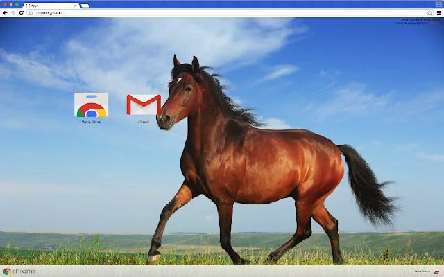 Horse Theme  from Chrome web store to be run with OffiDocs Chromium online