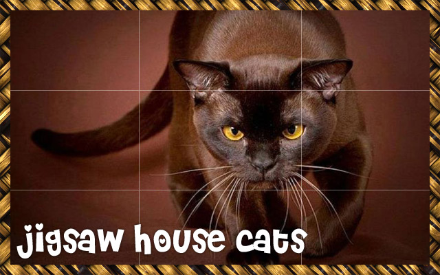 House Cats  from Chrome web store to be run with OffiDocs Chromium online