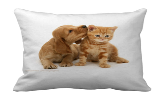 I love pets and all things pets  from Chrome web store to be run with OffiDocs Chromium online