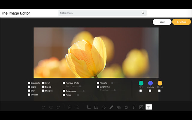 Image Editor  from Chrome web store to be run with OffiDocs Chromium online