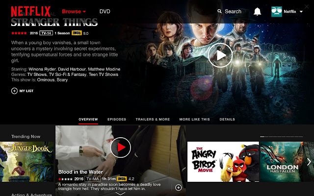 IMDB สำหรับ Netflix จาก Chrome เว็บสโตร์เพื่อใช้งานร่วมกับ OffiDocs Chromium ออนไลน์